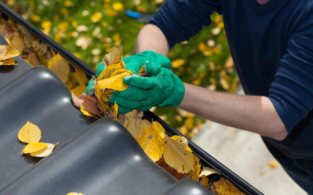 NJ Gutters cleaning and tips