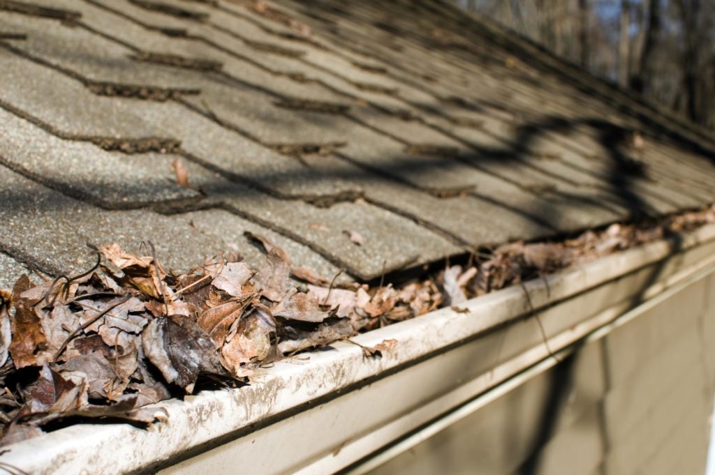 Depositphotos_3977455-min Image of gutters filled with leaves and debris.
