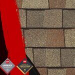 Roofing Shingle