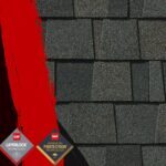 Roofing Shingle